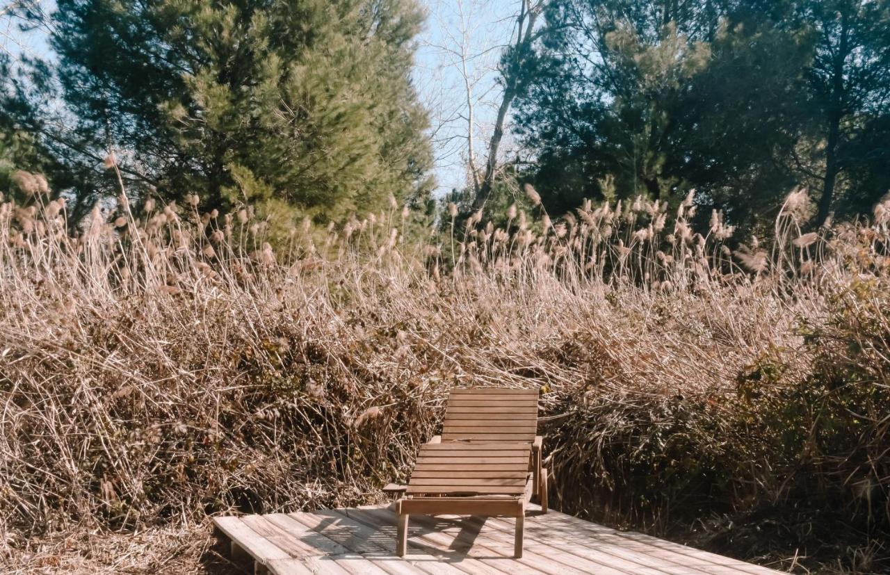 Cooltainer Retreat: Sustainable Coastal Forest Tiny House Near Barcelona Castelldefels Bagian luar foto